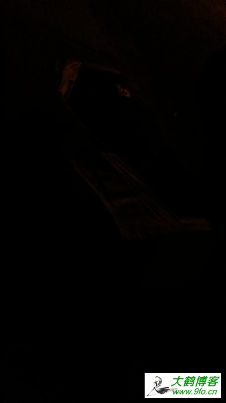 20151022_212218.jpg