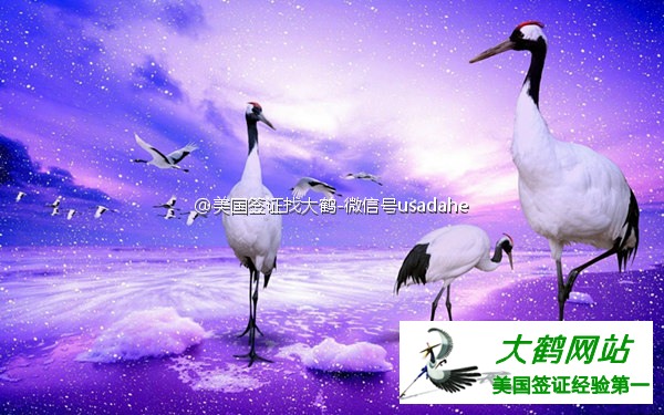 美国签证
